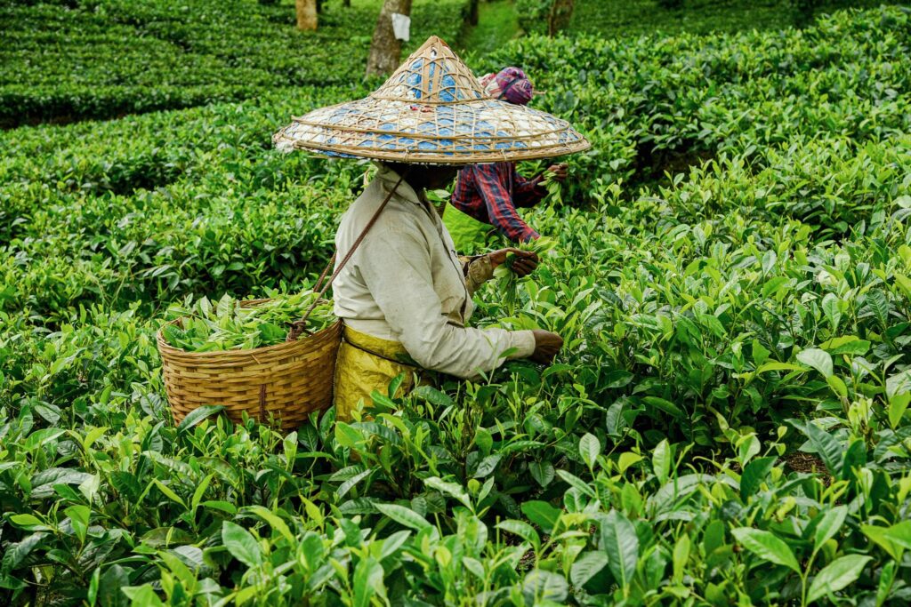 India’s Export Boom 2026: Best Opportunities for New Entrepreneurs